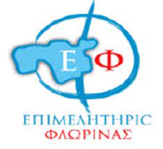 Νέο Έργο: Ανάπτυξη / αναβάθμιση πληροφοριακών συστημάτων και ηλεκτρονικών υποδομών του Επιμελητηρίου  Φλώρινας
