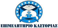 Νέο Έργο: Ανάπτυξη / αναβάθμιση πληροφοριακών συστημάτων και ηλεκτρονικών υποδομών του Επιμελητηρίου  Καστοριάς